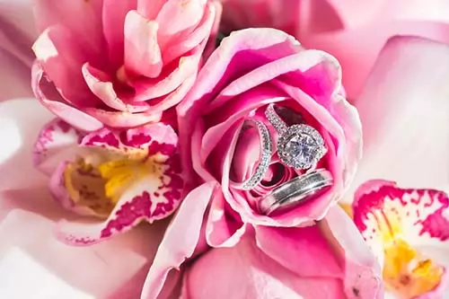 Wedding rings Photo, Turks & Caicos Islands